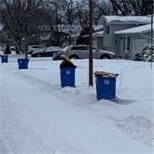 photo showing proper placement of trash and recycling bins on curb