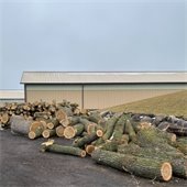 Photo of wood pile