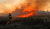 photo of firefighter during controlled burn