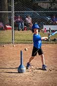 youth t ball