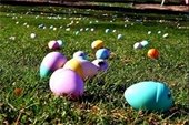 stock photo egg hunt