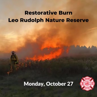 Leo Rudolph live burn graphic
