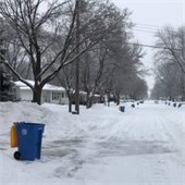 recycling container at curb