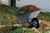 yard waste stock photo