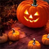 2024oct23-JackOLanternNF