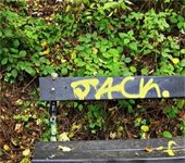 stock image of graffiti on park bench