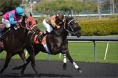 Photo of horses racing on track