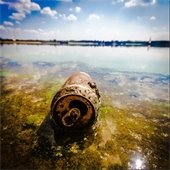 Pop can in lake covered in algae
