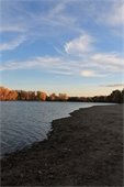Photo of autumn trees and beach at Lake Kohlmier