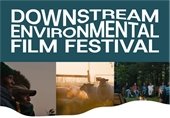 downstream festival graphic
