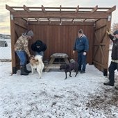 dog park shelter 1