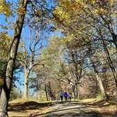 photo of people walking on park trail