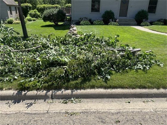 photo of curbside storm debris