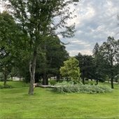 tree damage west hills 
