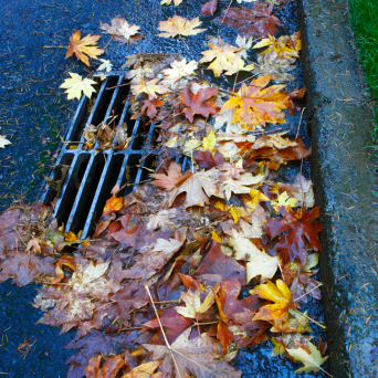 Leaves in Gutter