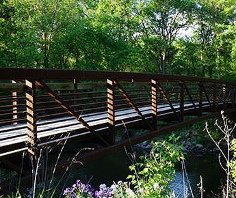 bridge crossing a creek in the woods