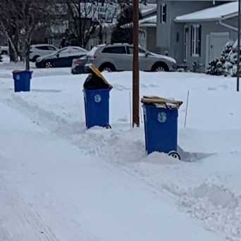 Garbage Bins on Curb 