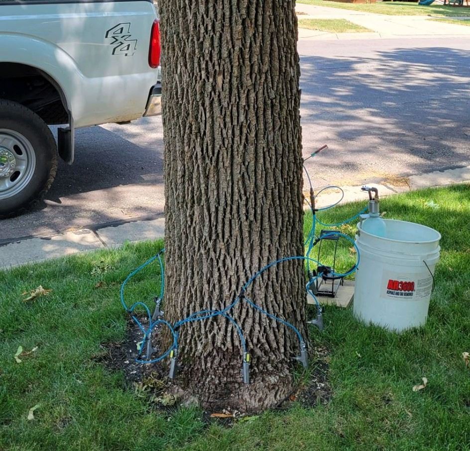 EAB Treatment